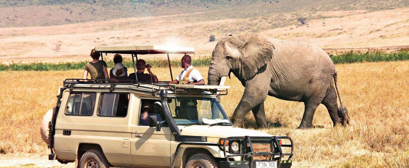 Image result for Book Tanzania safari tour